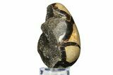 Septarian Dragon Egg Geode - Sparkly Black Crystals #308810-2